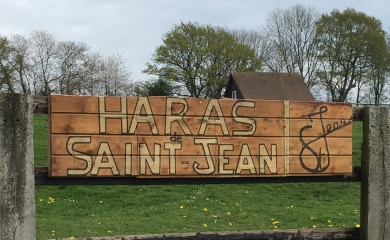 Bienvenue au Haras de Saint Jean à Cambremer
